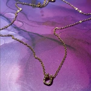 dainty lucky horse shoe necklace